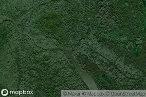 Little Bayou Gravenburg