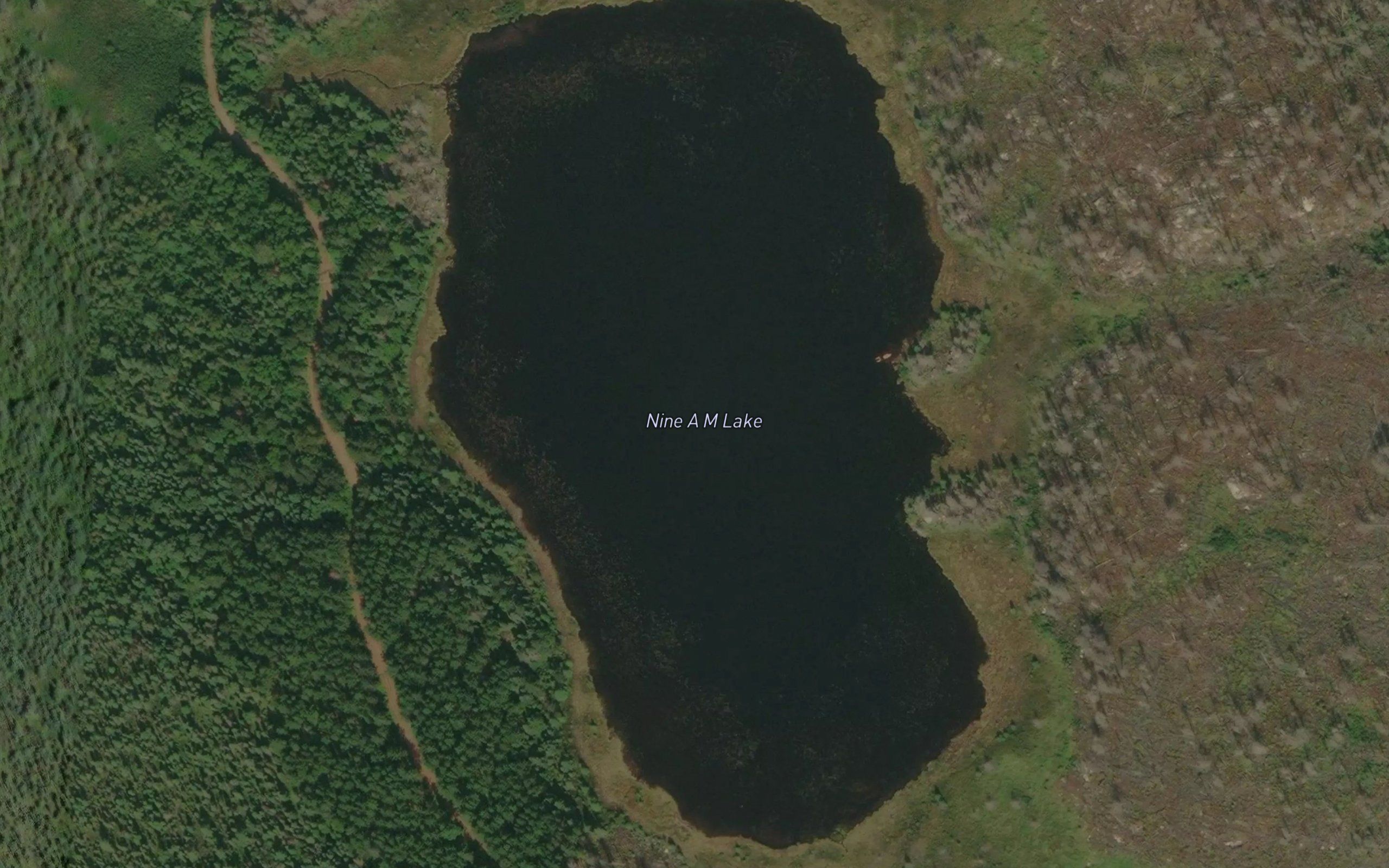 Nine A M Lake