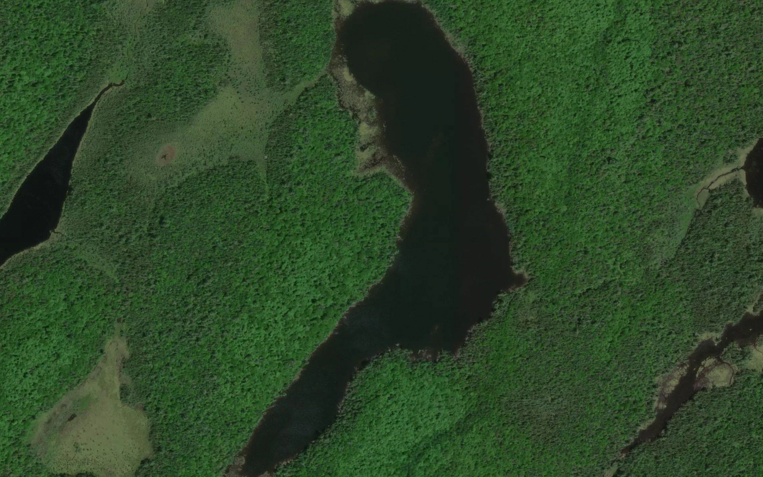 Lac Molson