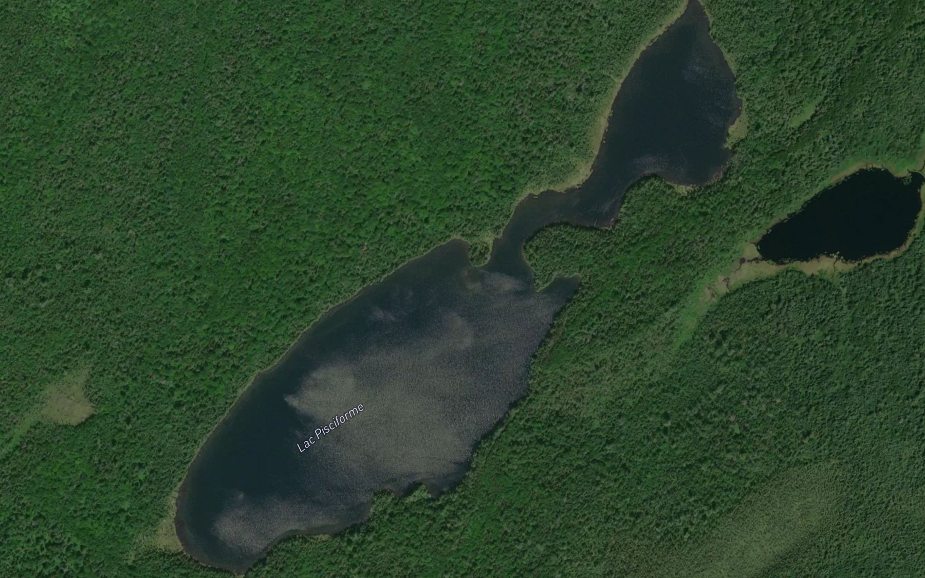 Satellite map of the Lac Pisciforme