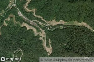 Trace Fork
