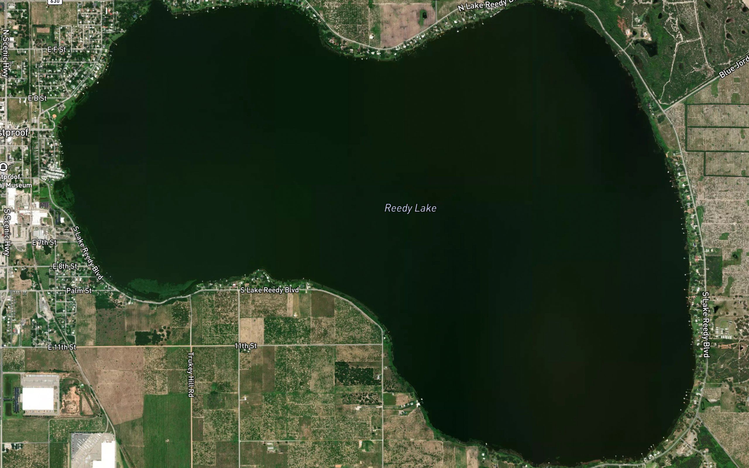 Reedy Lake