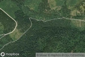 Smorgasbord Creek