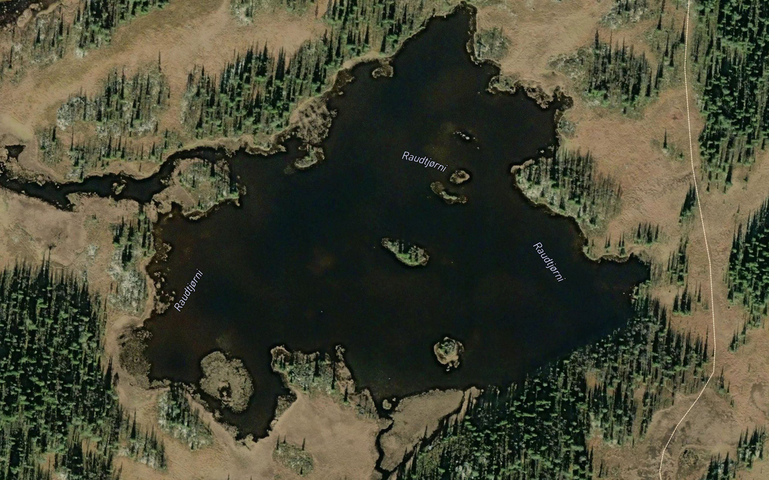 Raudtjorn
