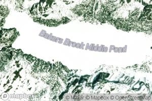 Bakers Brook Middle Pond