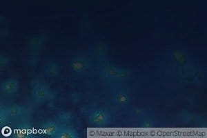 Southern Coral Heads