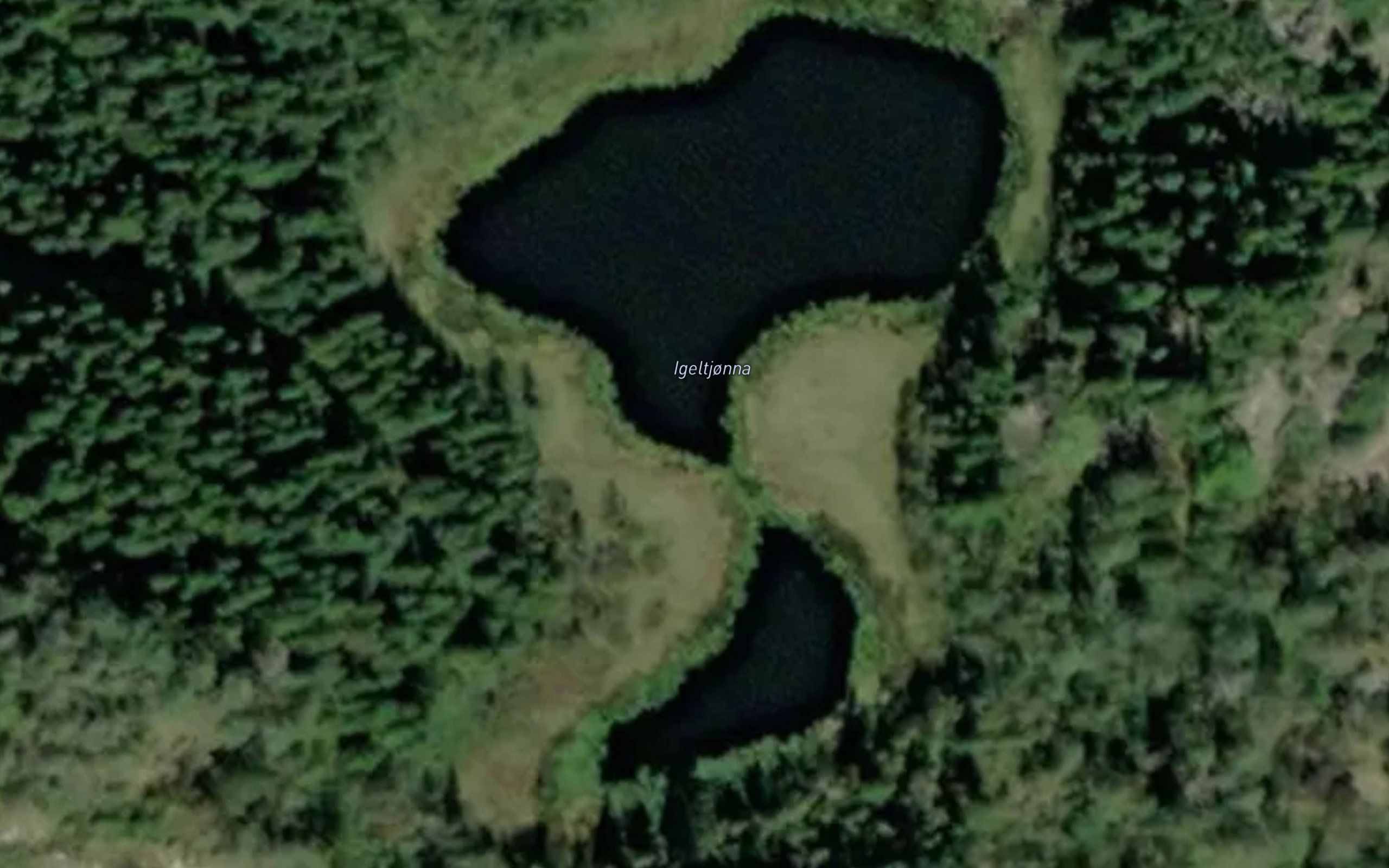 Igeltjonna