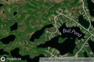 Bull Pond