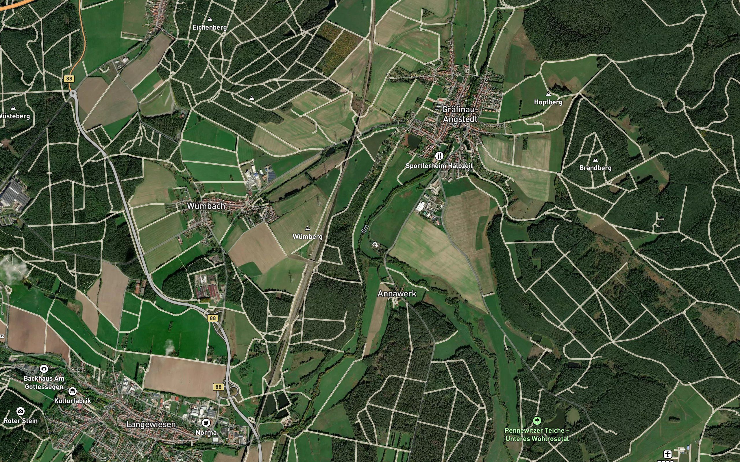 Wohlrose