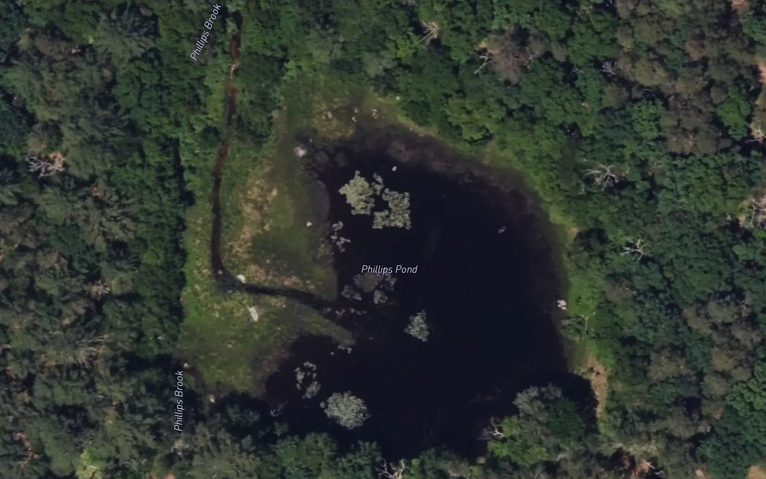 Phillips Pond
