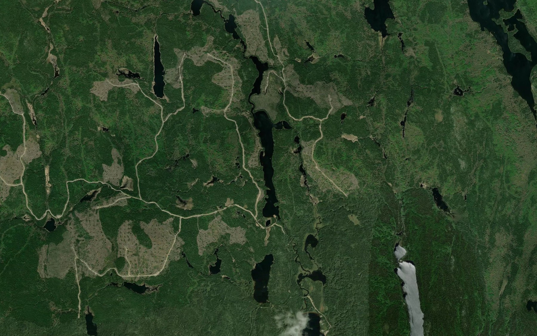 Satellite map of the Lac du Gros Male