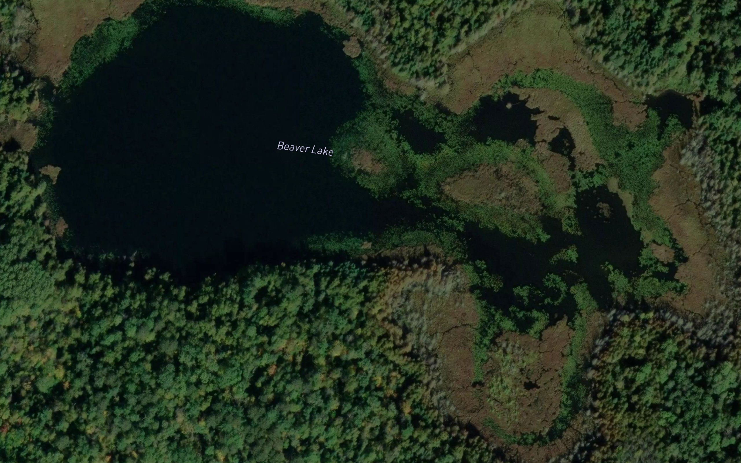 Beaver Lake