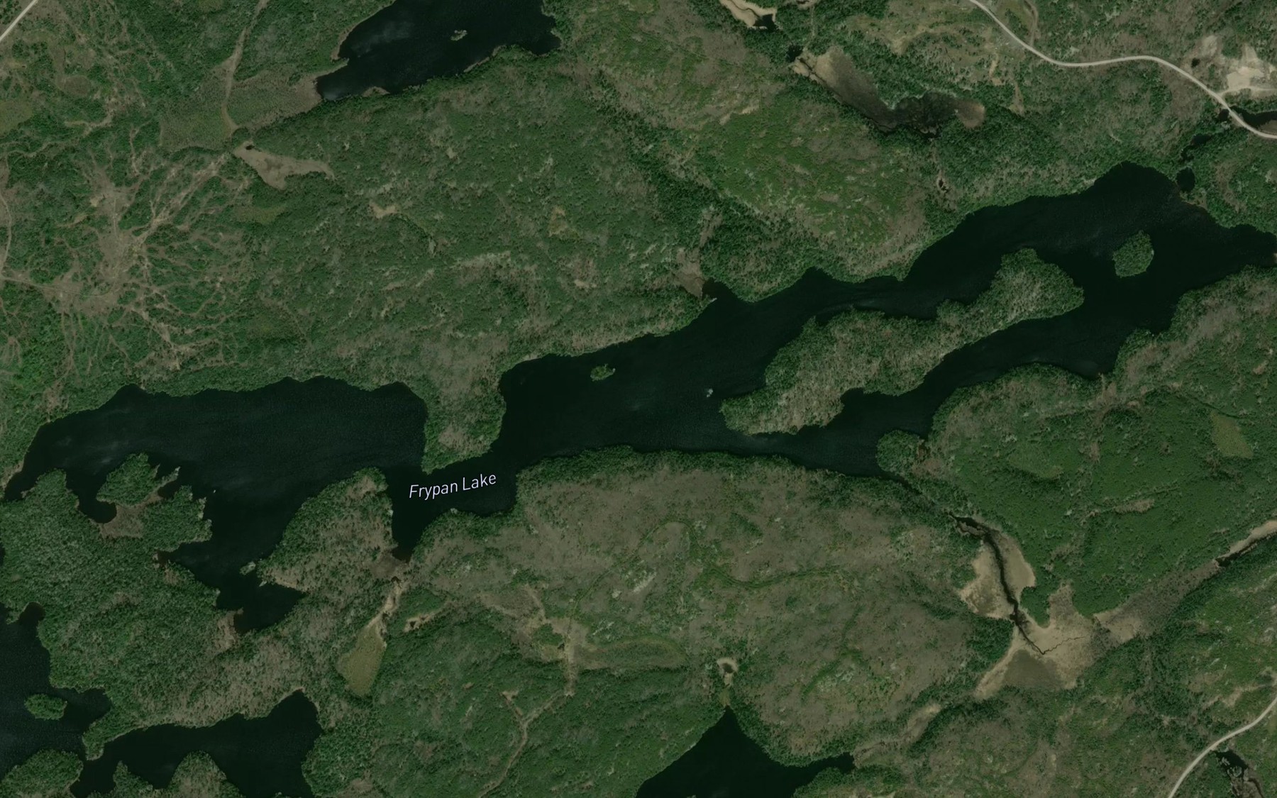 Satellite map of the Frypan Lake