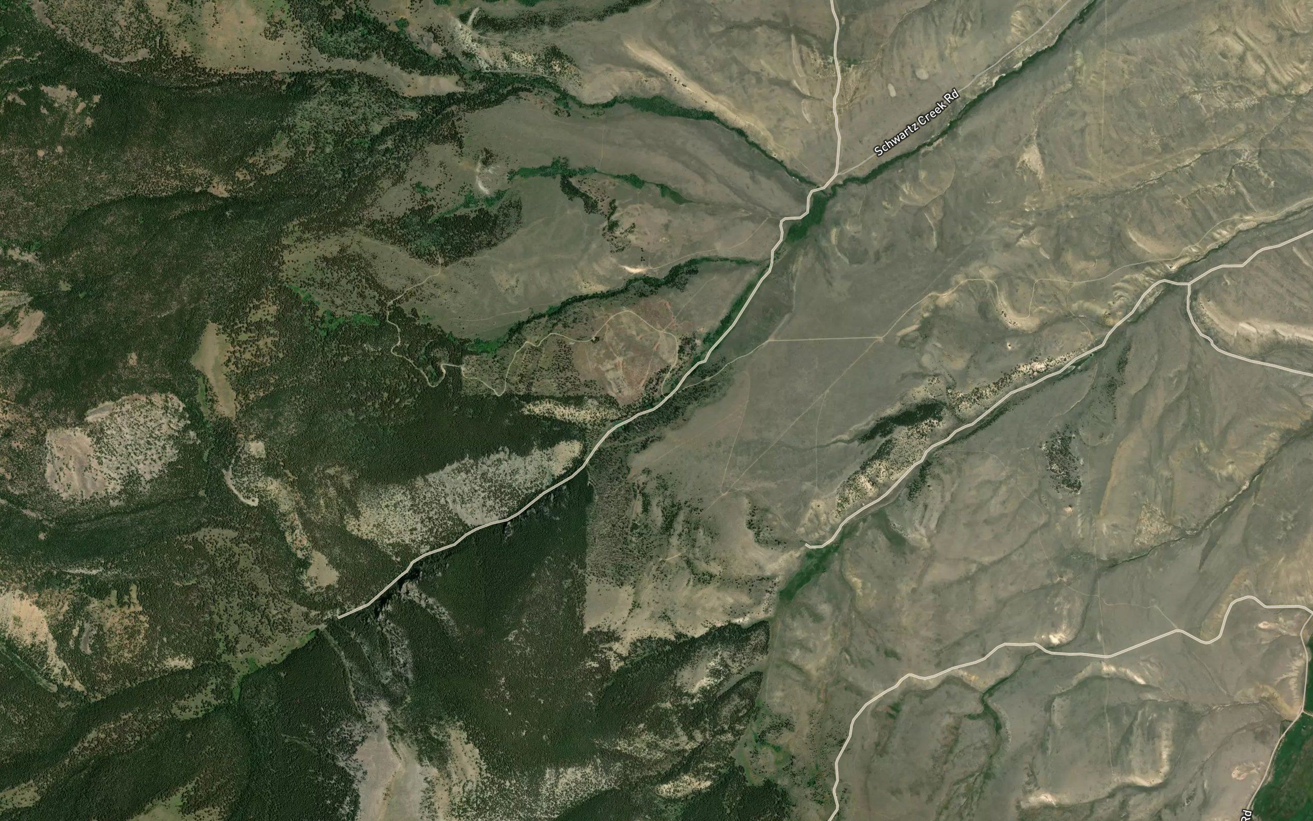 Lake Canyon Spring