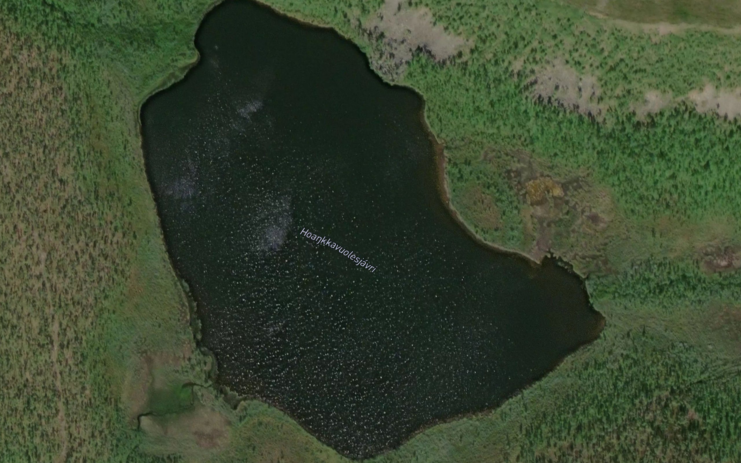 Huonkavuolesjavri