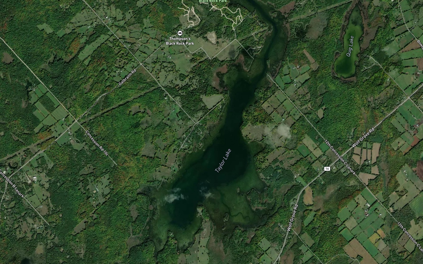 Satellite map of the Taylor Lake