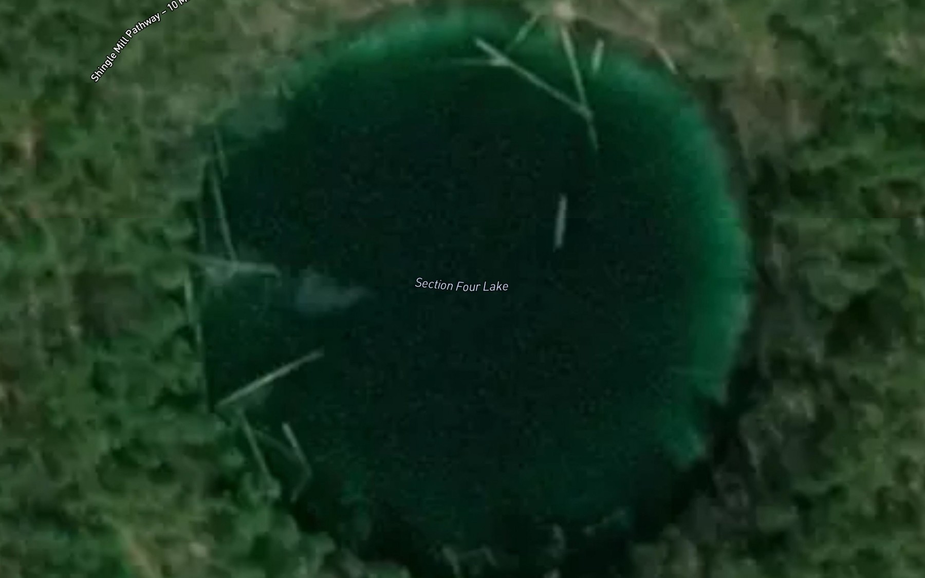 Satellite map of the Section Four Lake