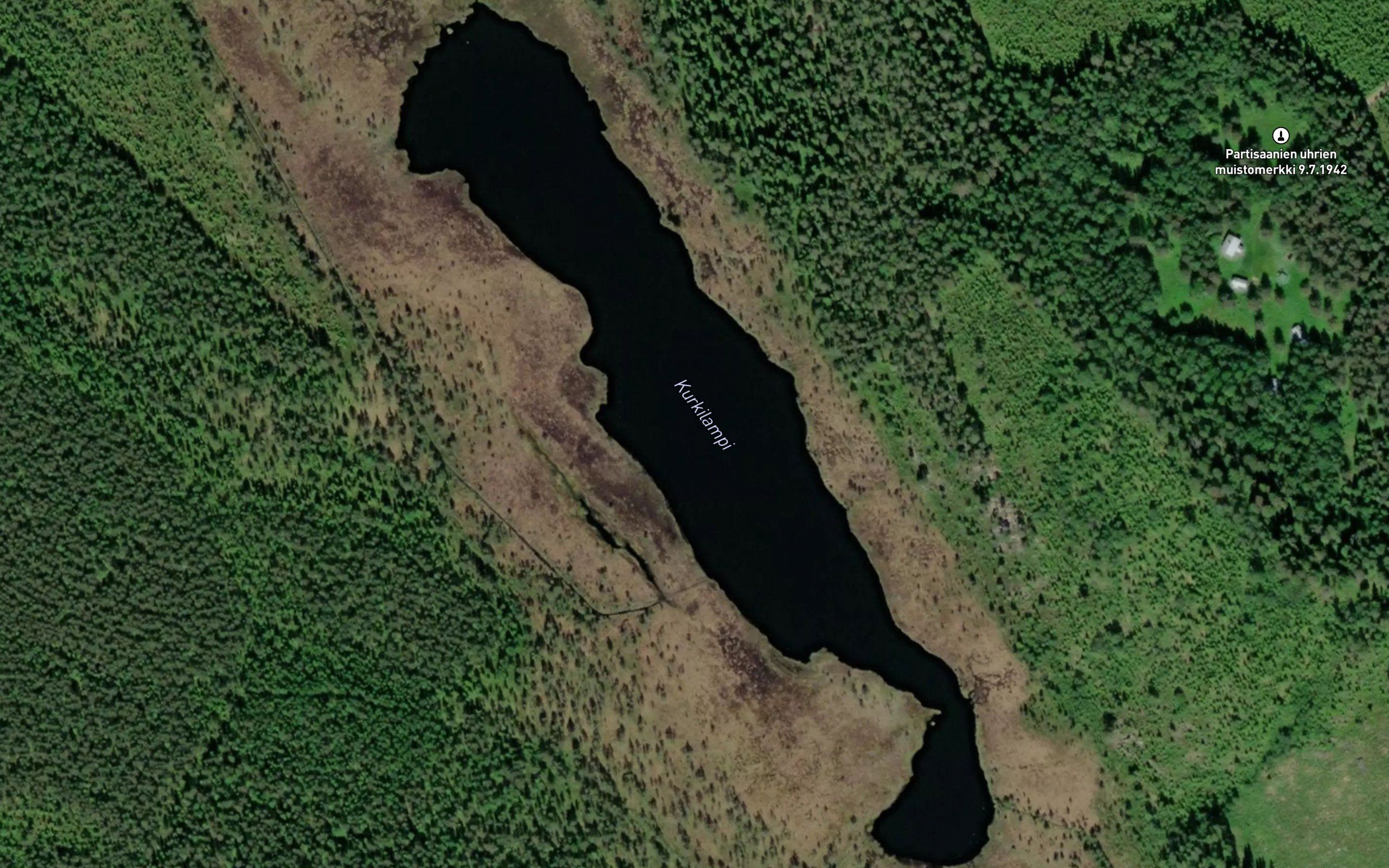 Kurkilampi