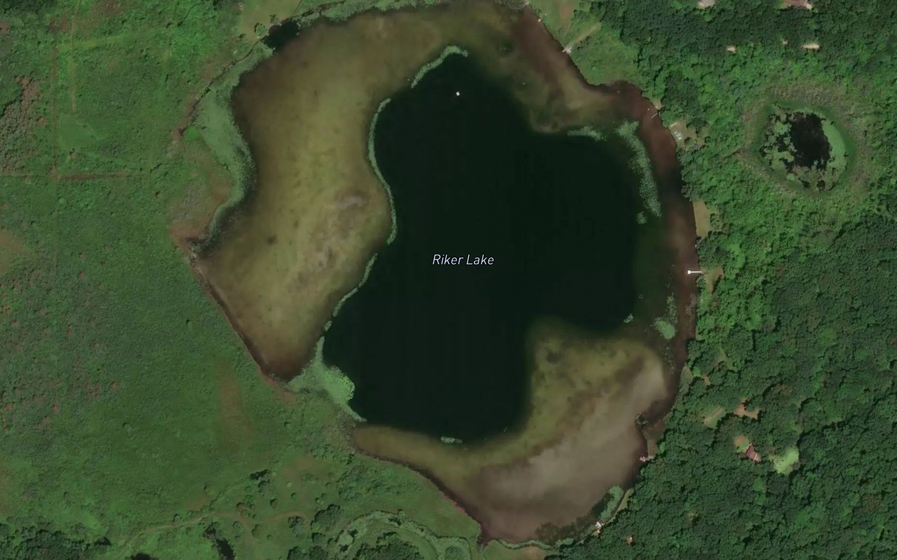 Satellite map of the Riker Lake