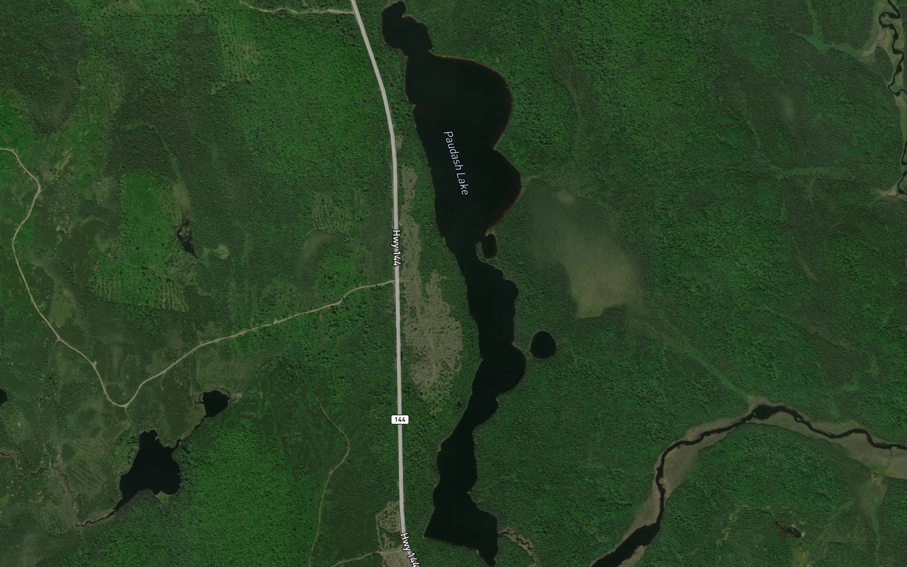 Satellite map of the Paudash Lake