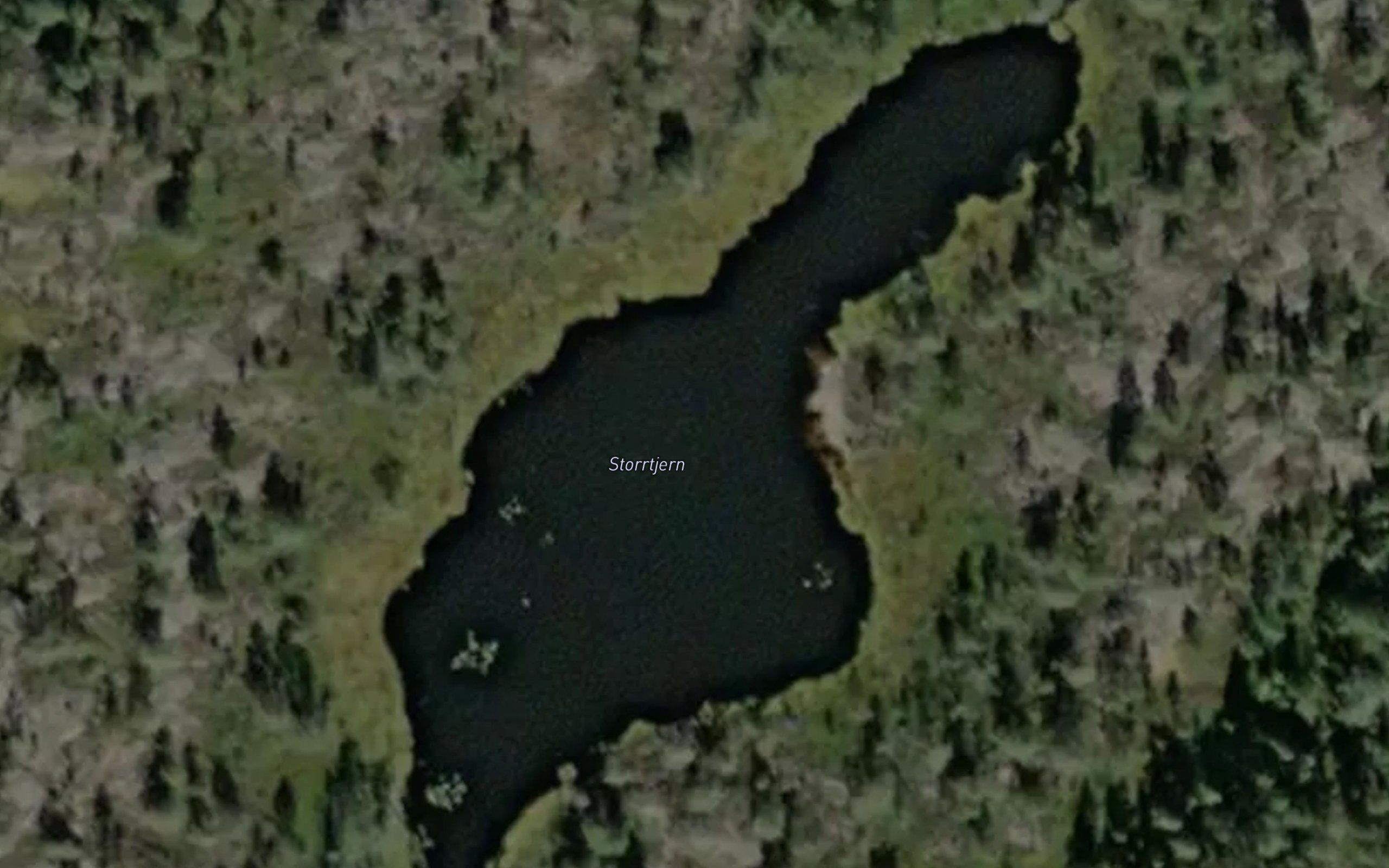 Storrtjern