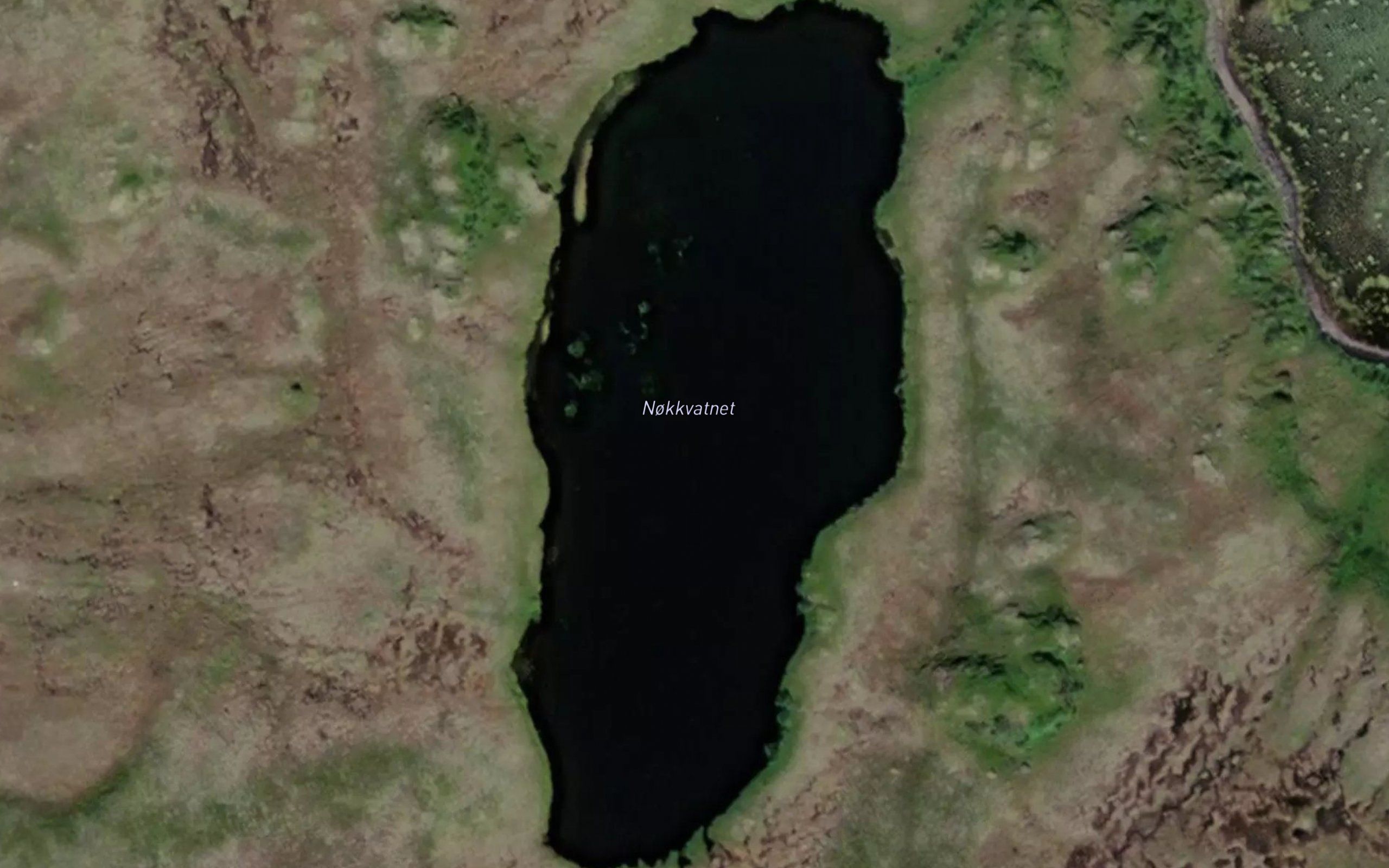 Nokkvatnet