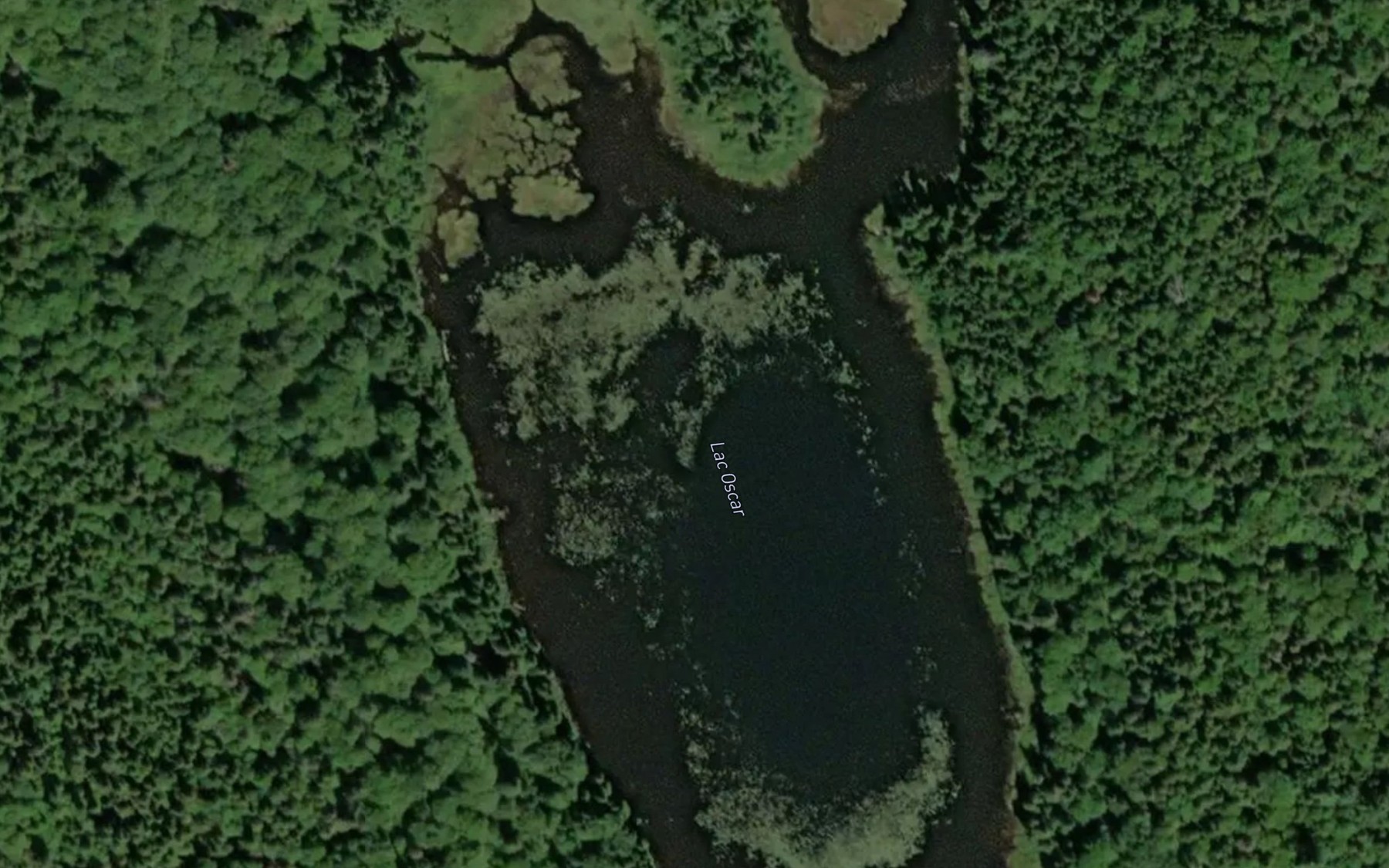 Satellite map of the Lac Oscar