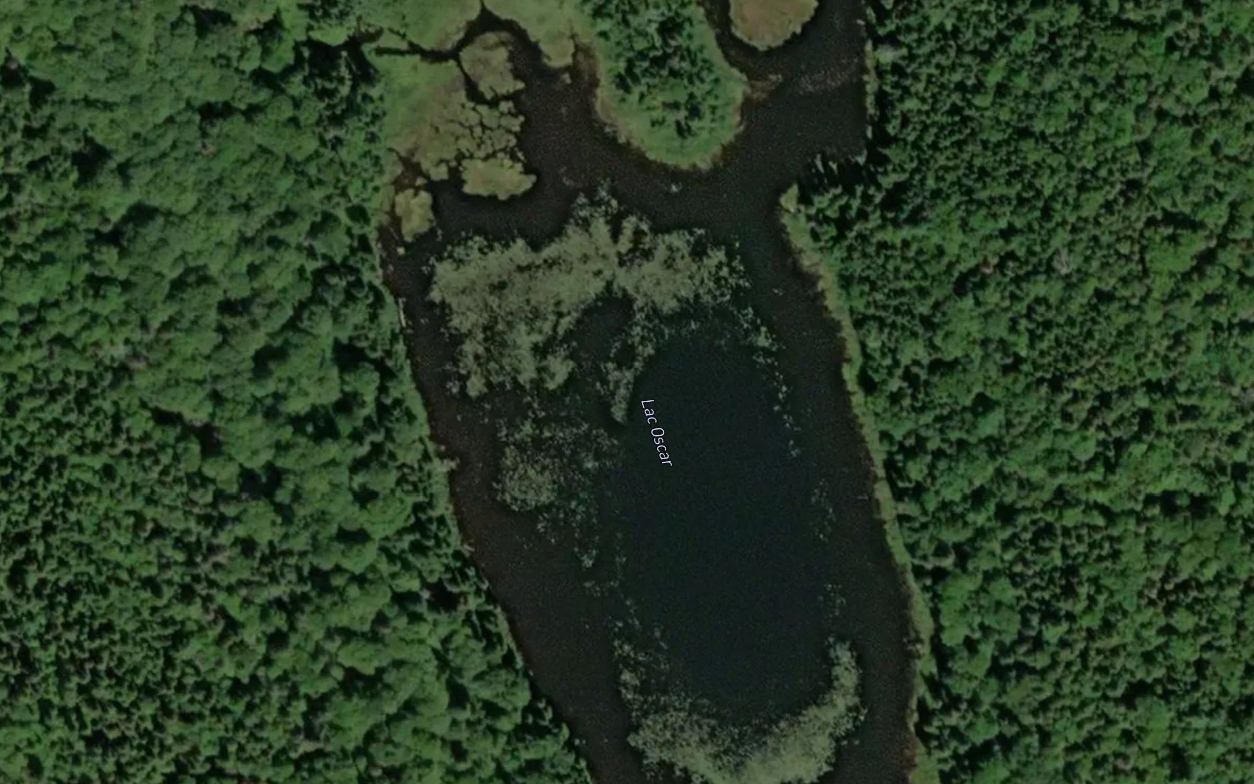 Lac Oscar