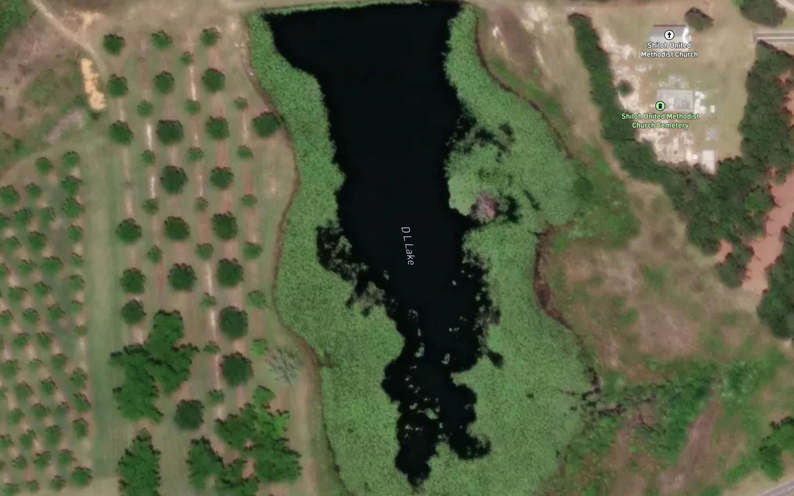 D L Lake
