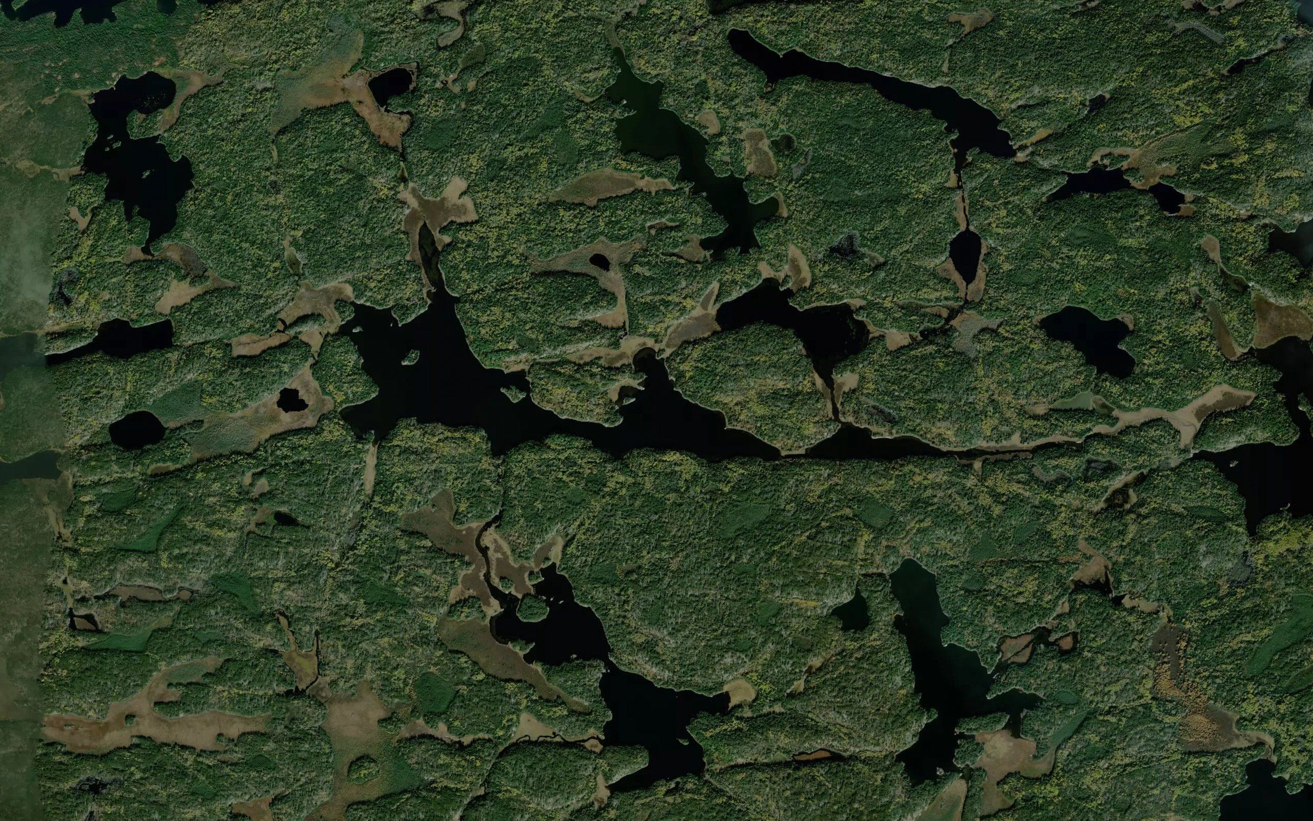 Dora Lake