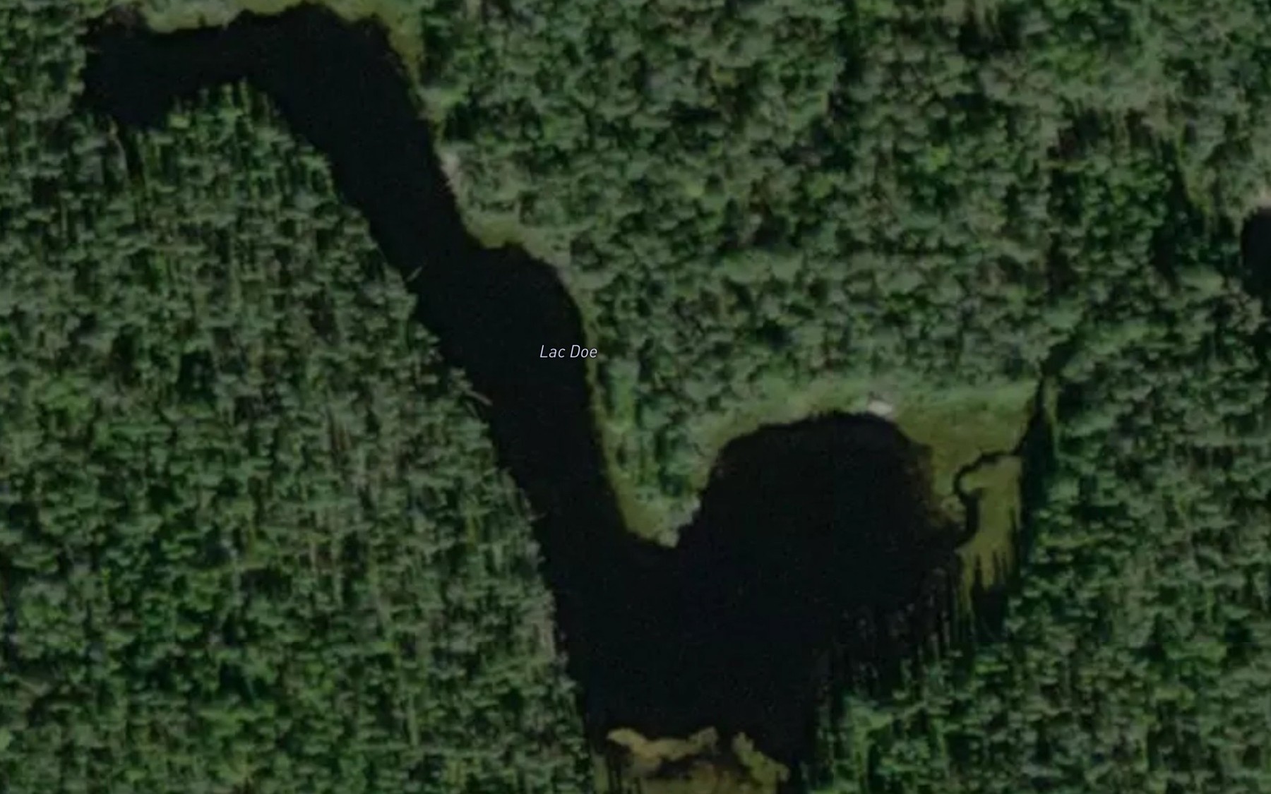 Satellite map of the Lac Doe