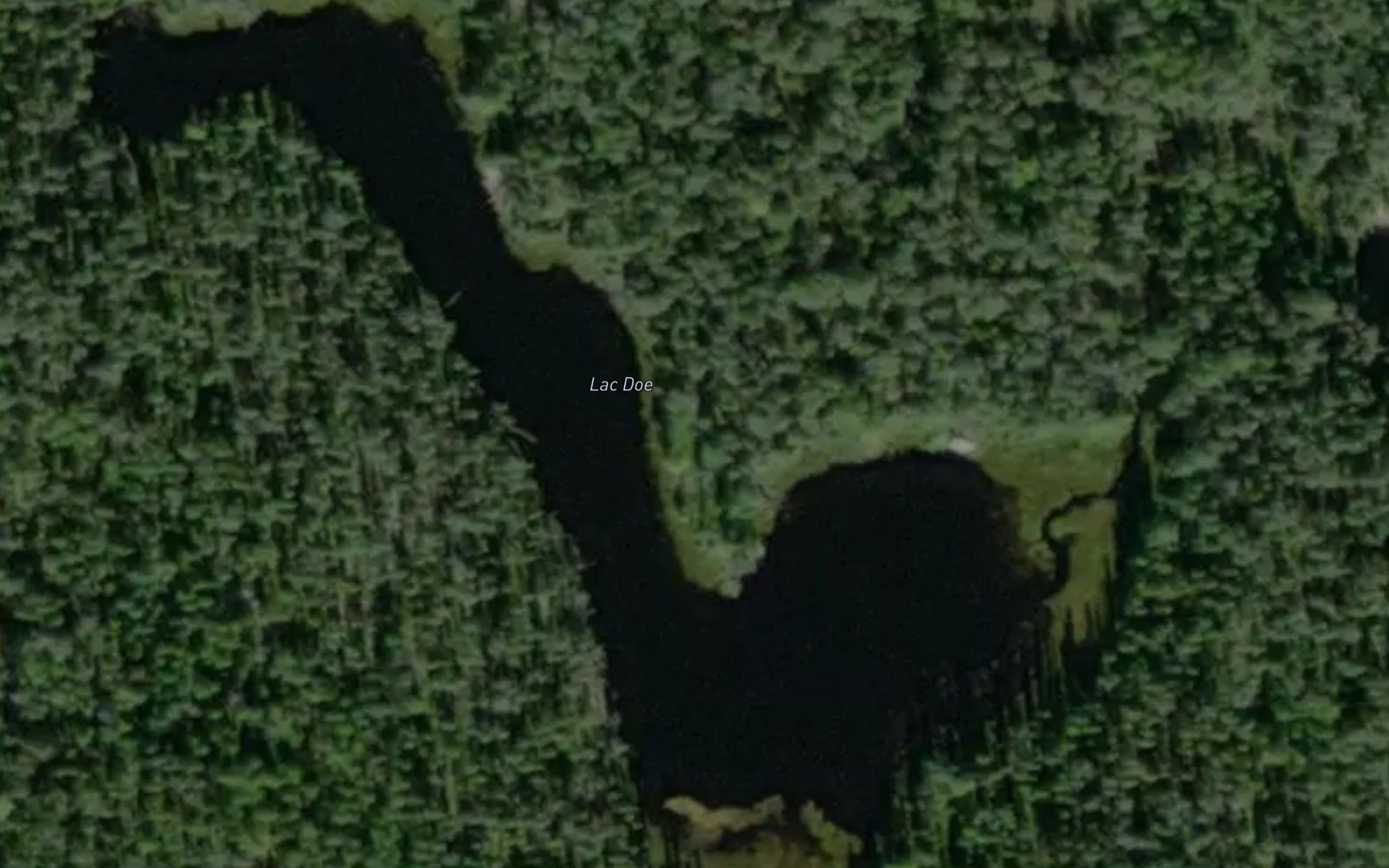Lac Doe