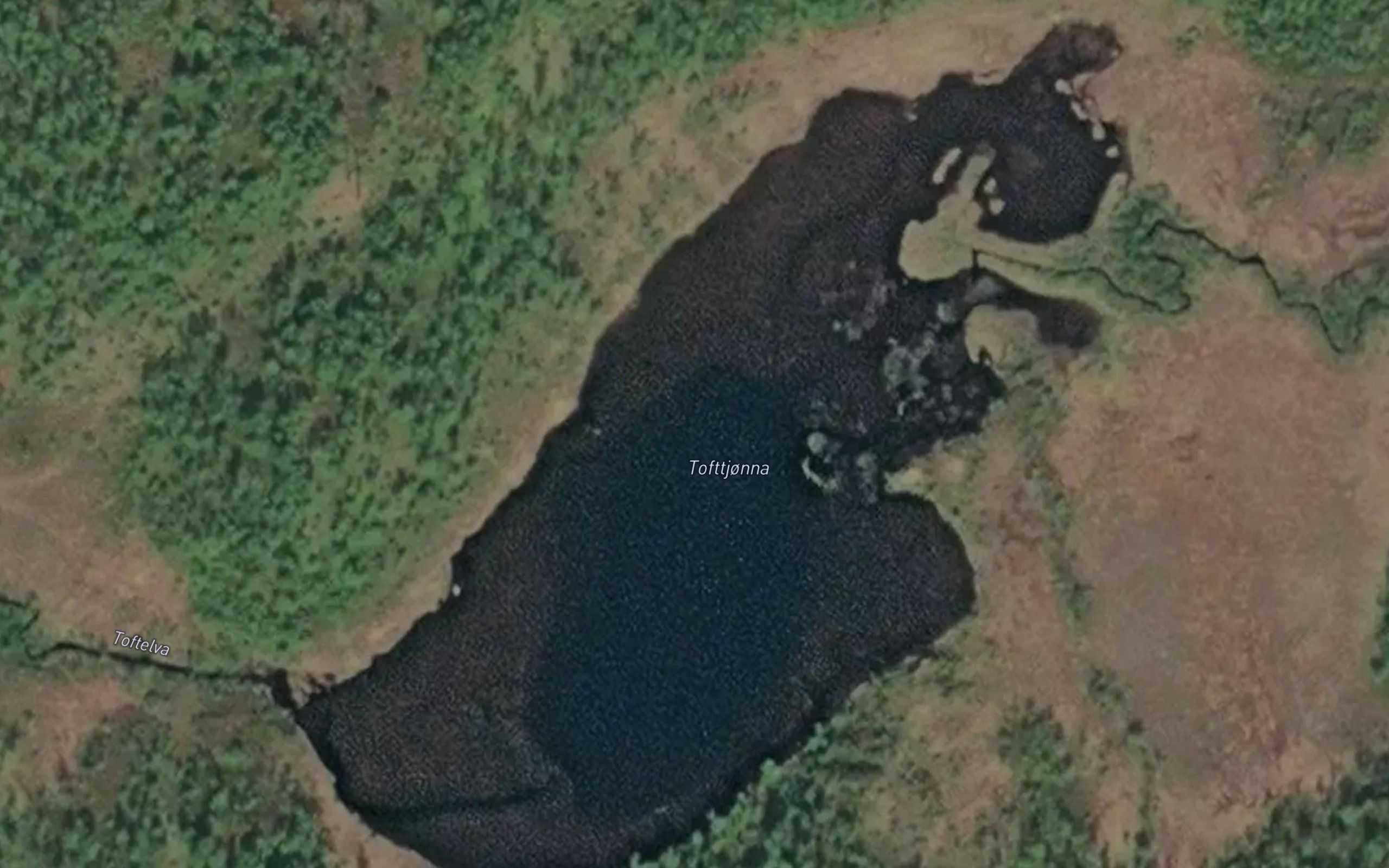 Tofttjorna