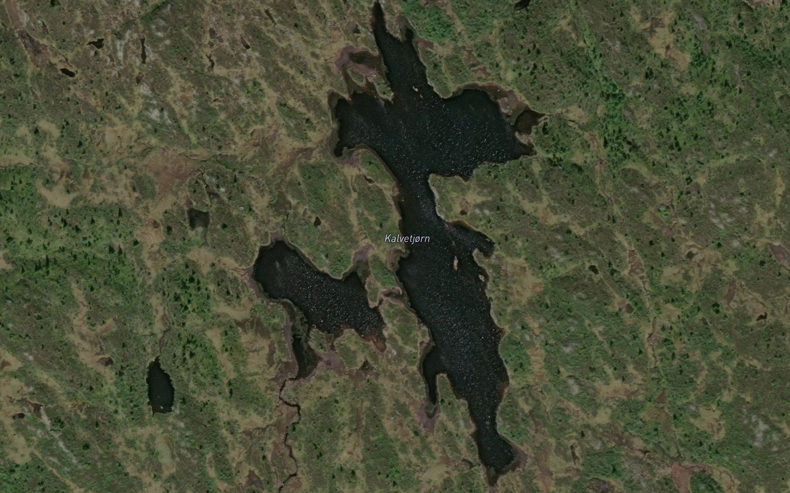Store Kavtjorn