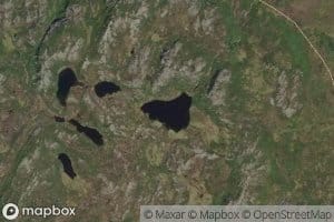 Steintjorna