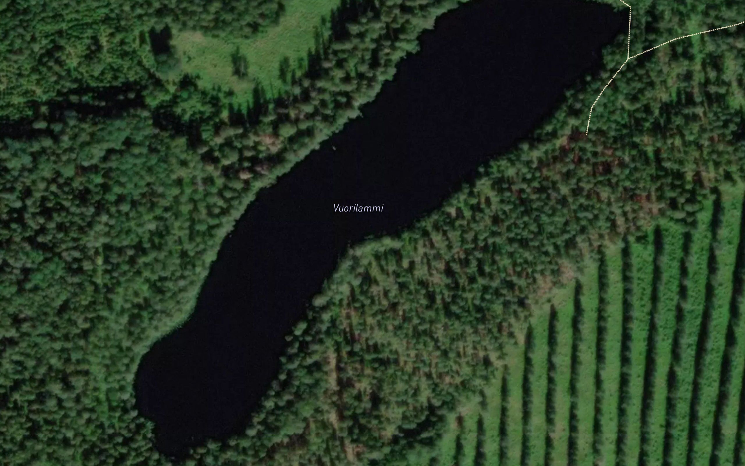 Vuorilammi