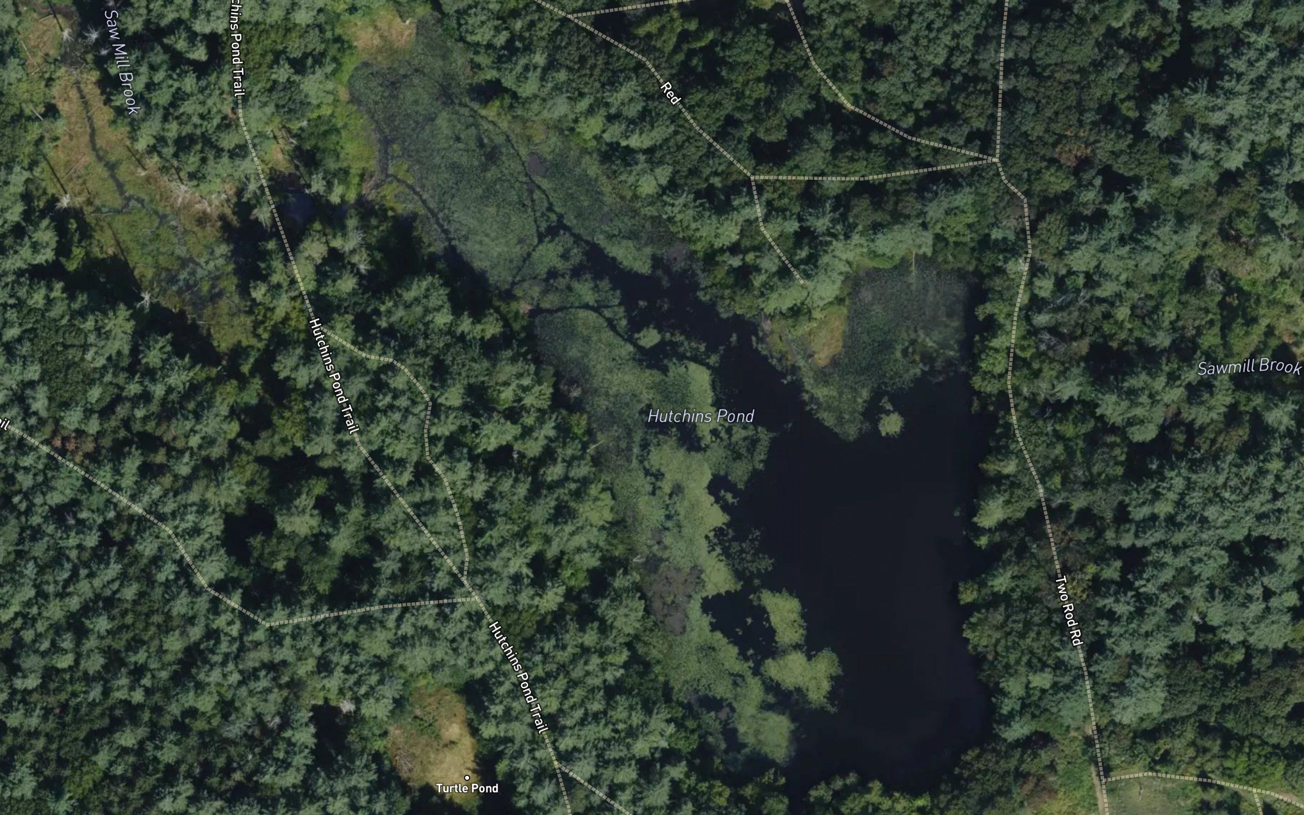 Hutchins Pond