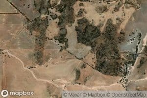 Wooliancubbing Spring