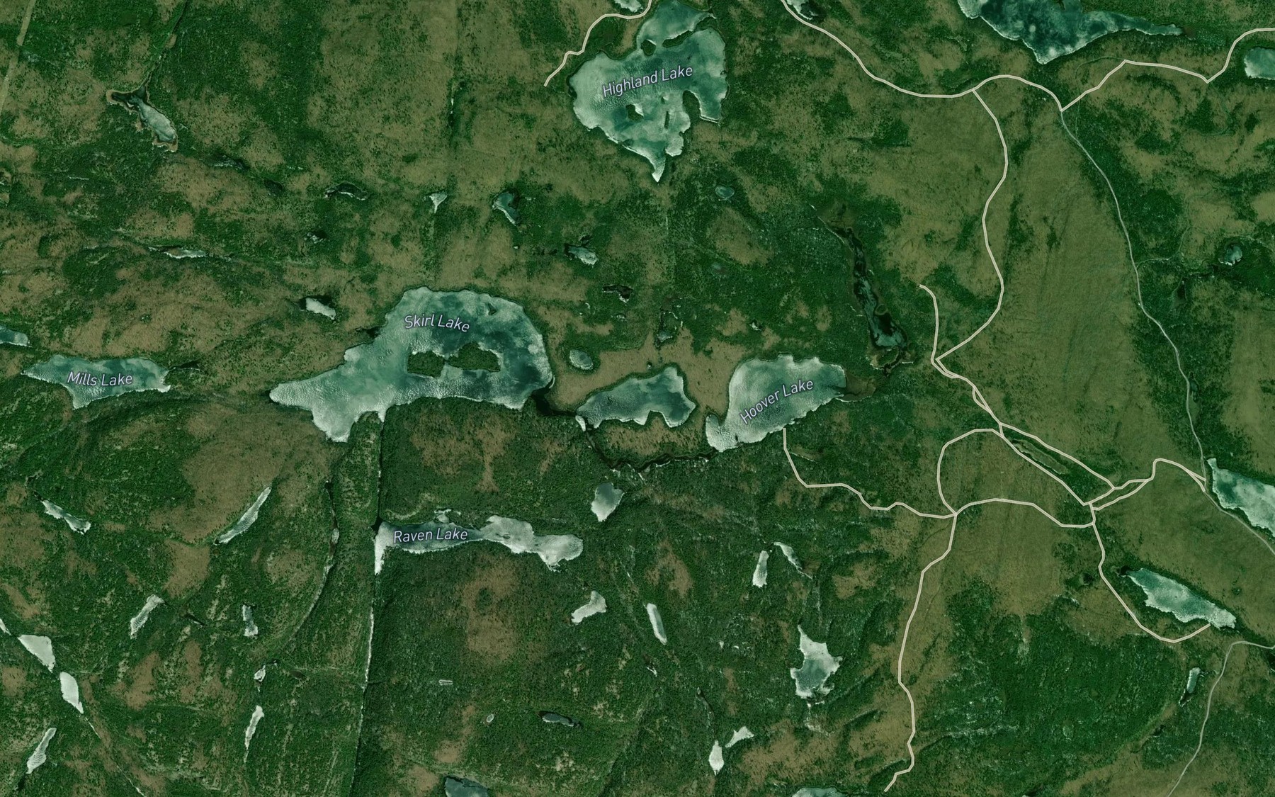 Satellite map of the Walsh Lake