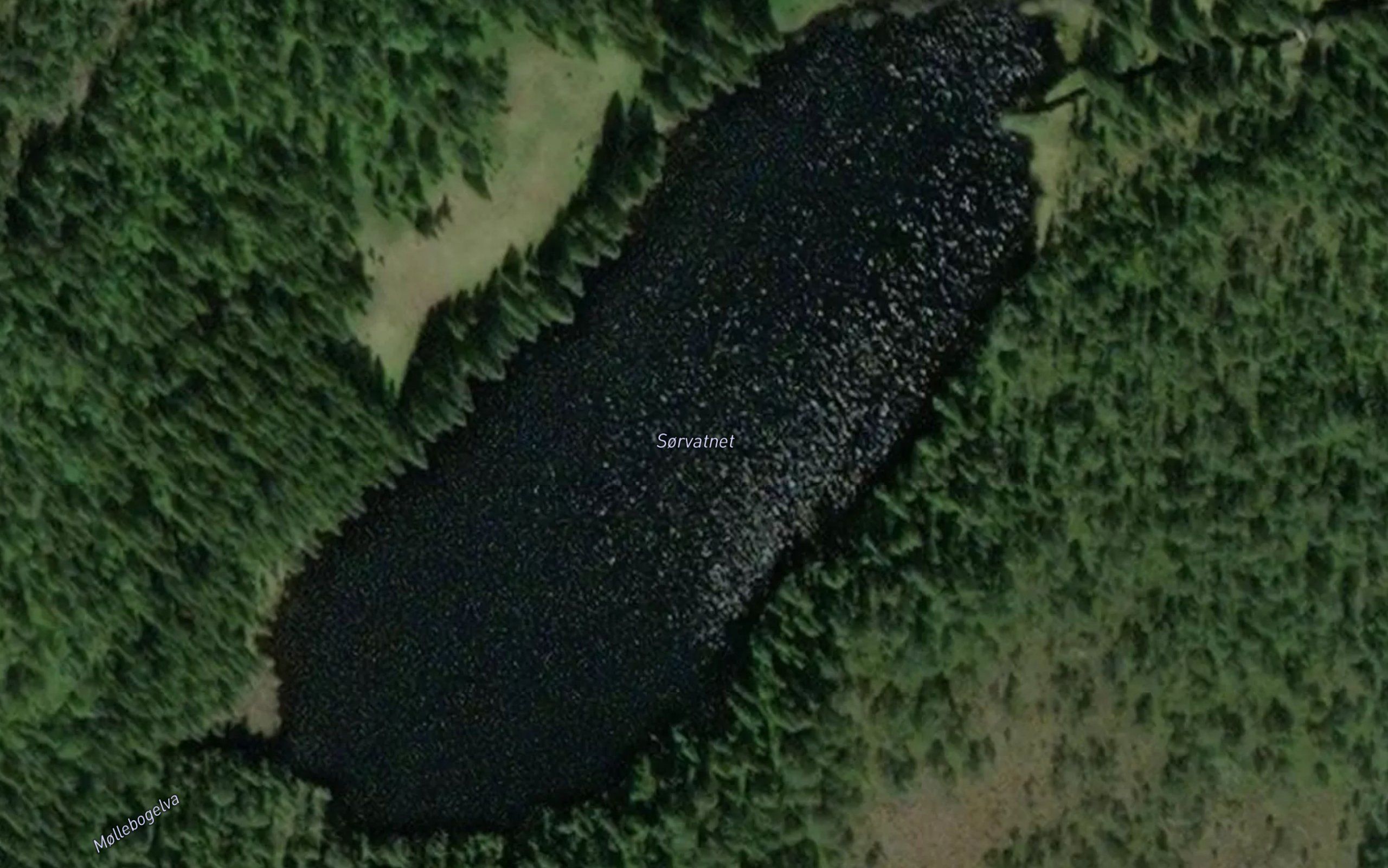 Sorvatnet
