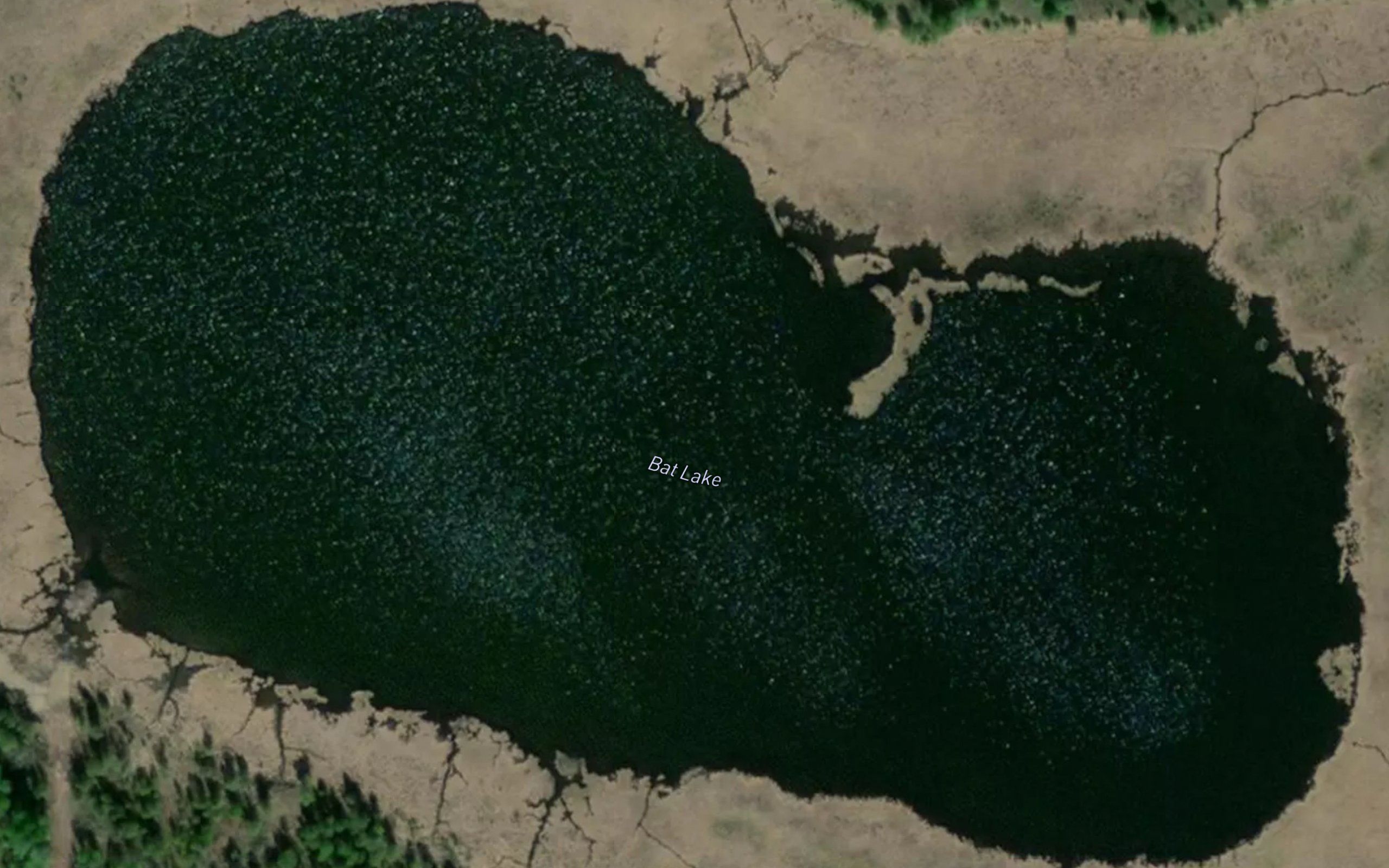 Bat Lake