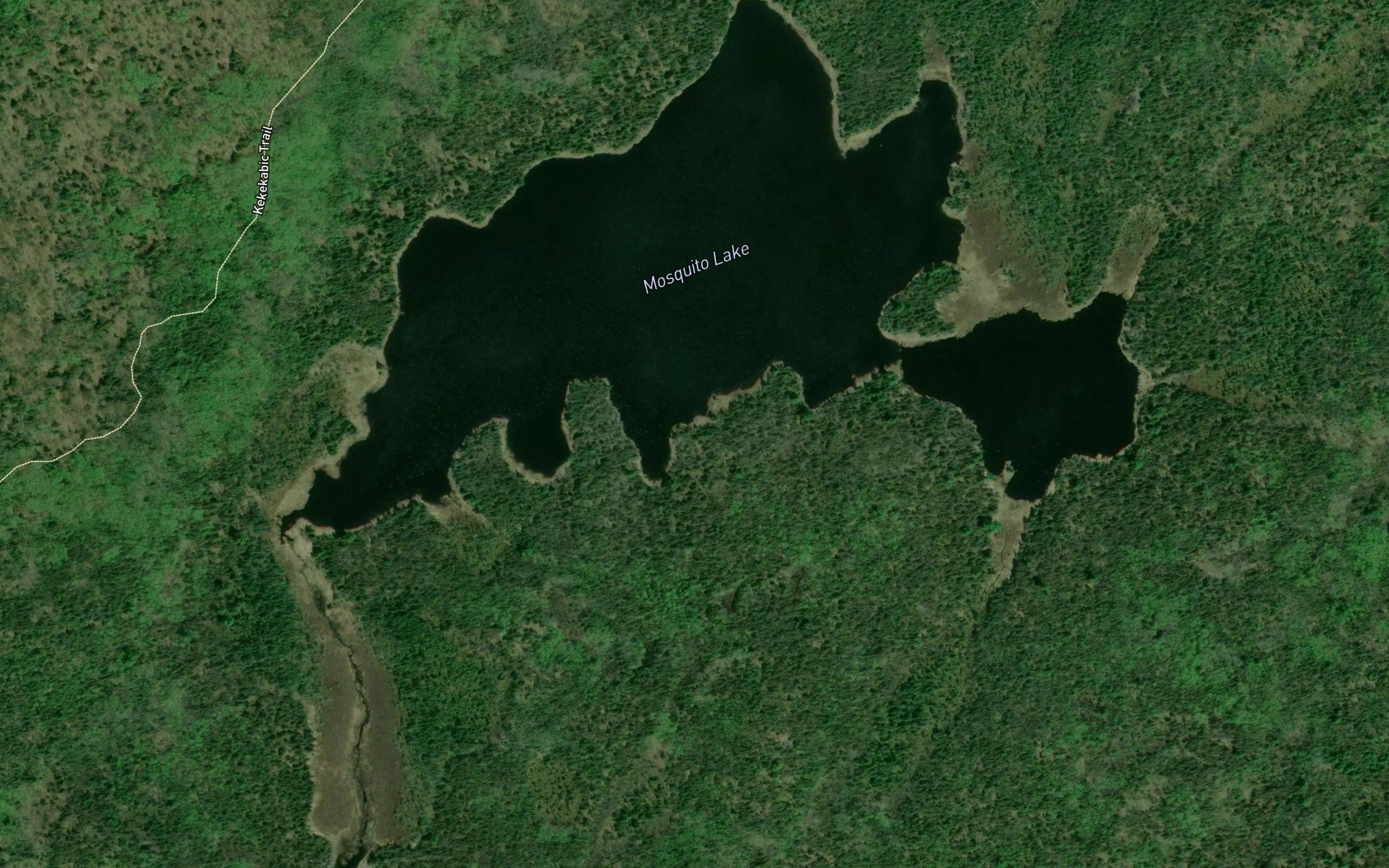 Mosquito Lake