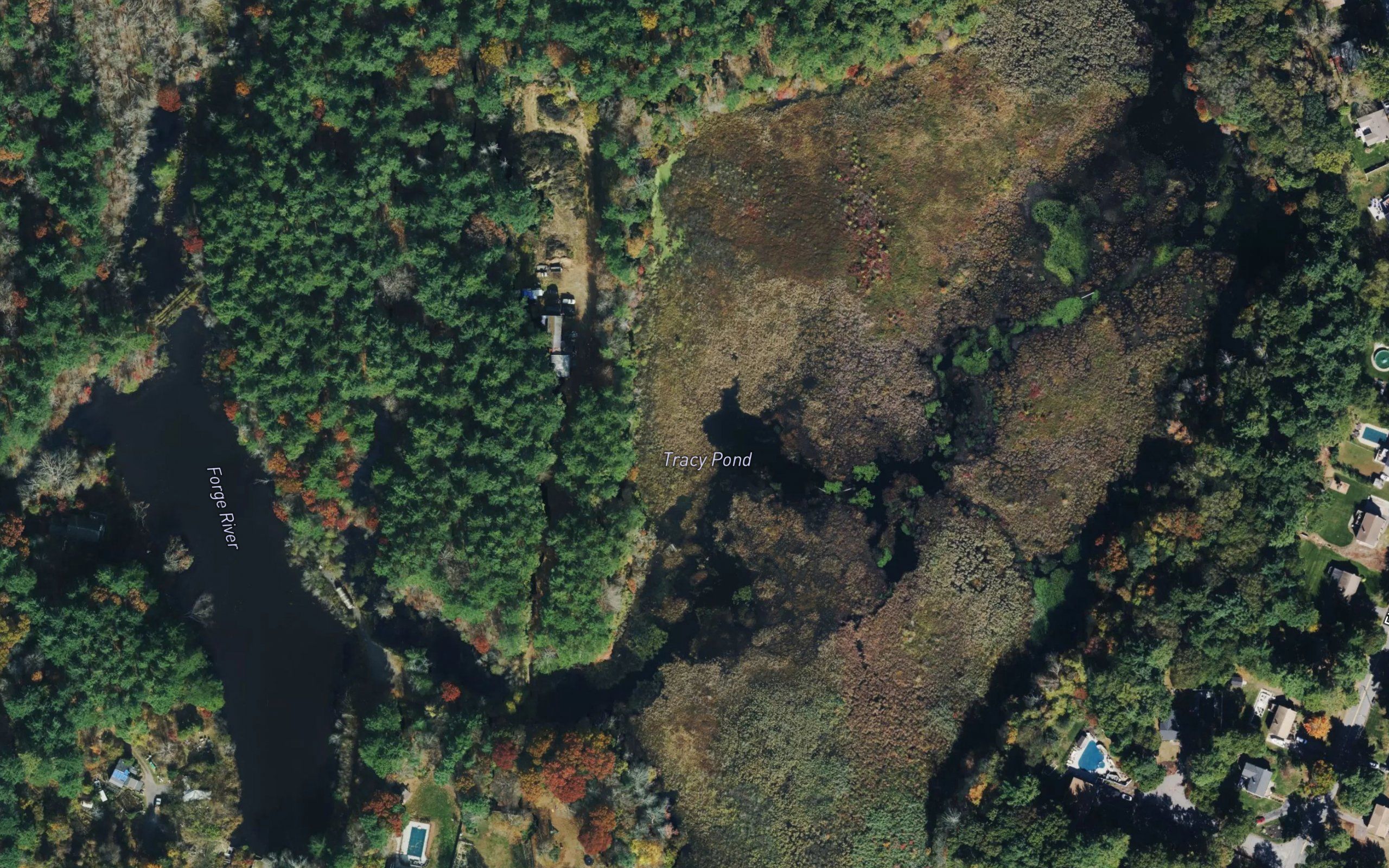 Tracy Pond
