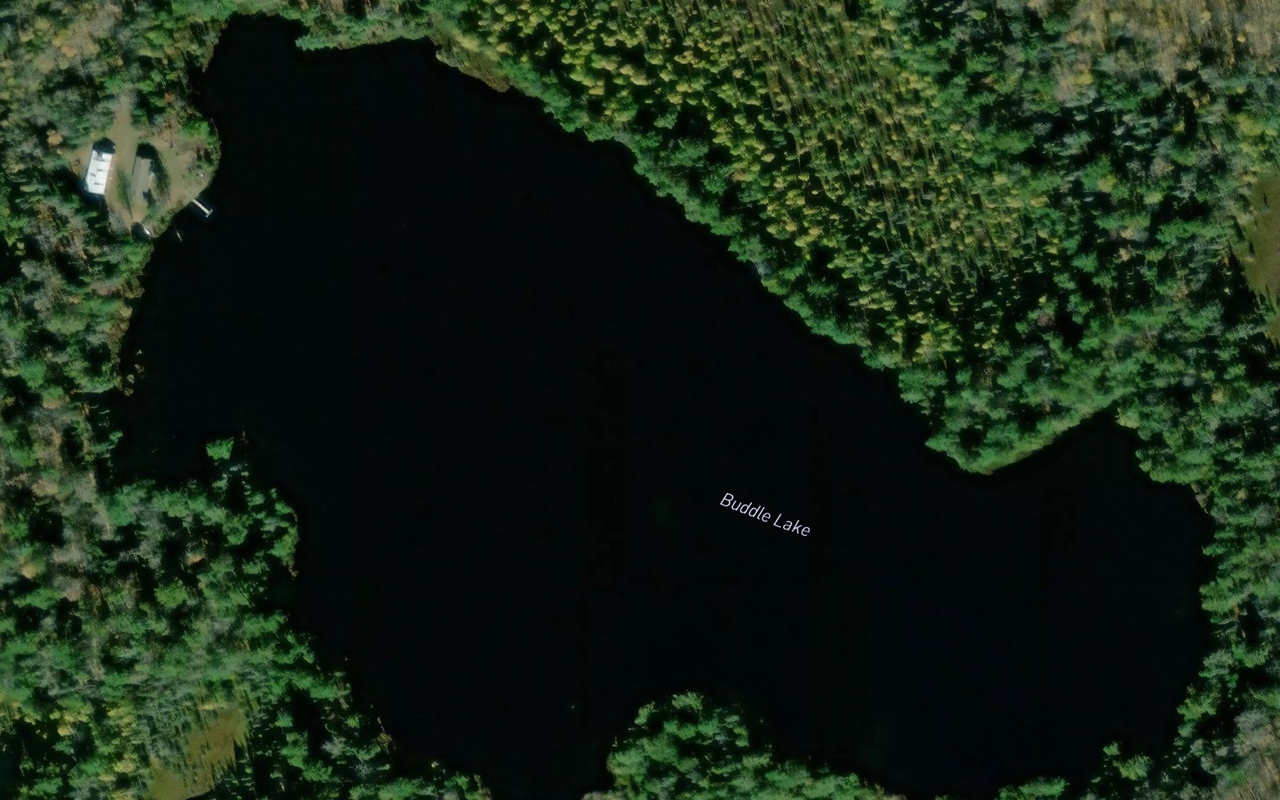 Satellite map of the Buddle Lake