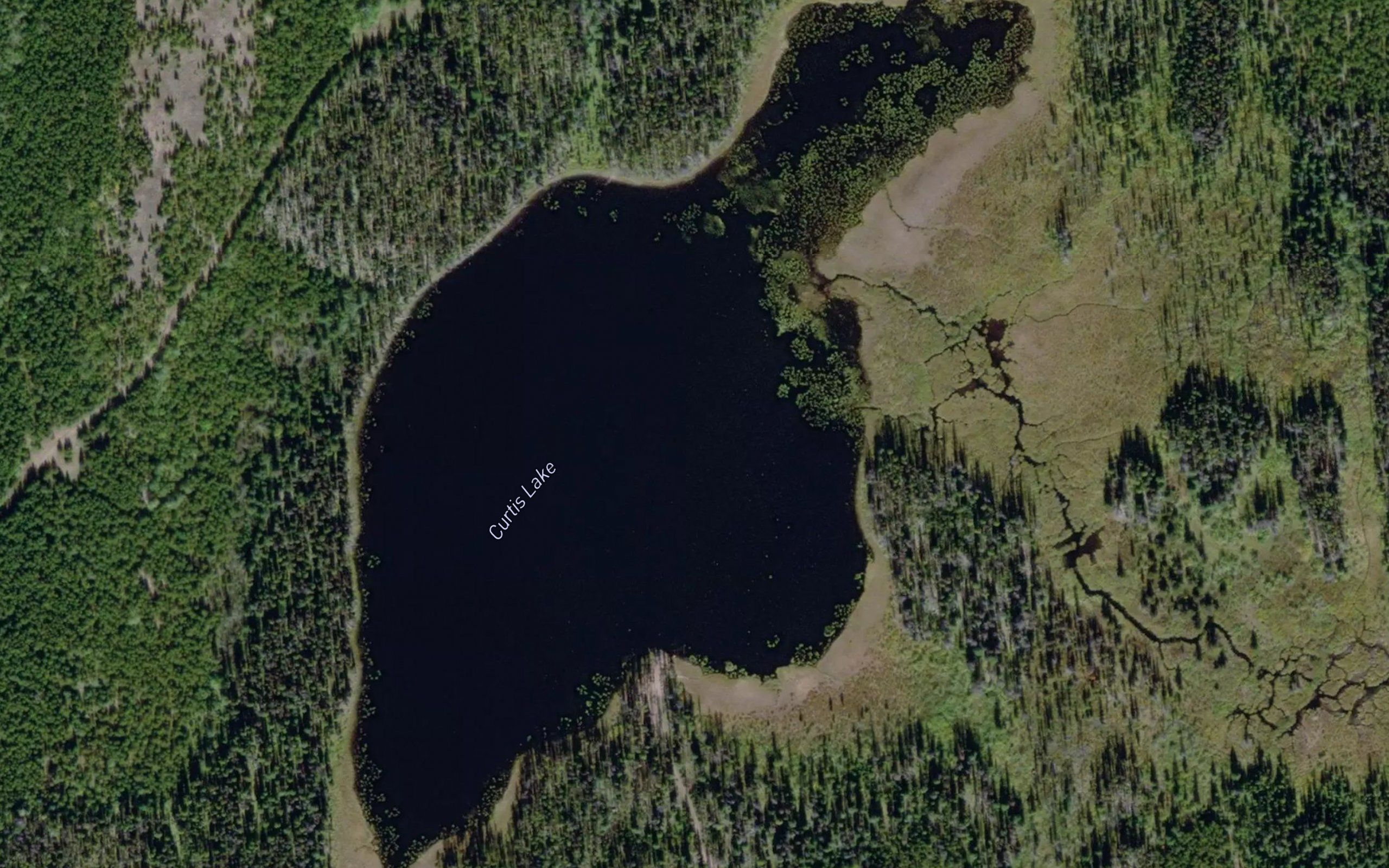 Curtis Lake