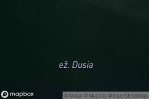 Ezeras Dusia