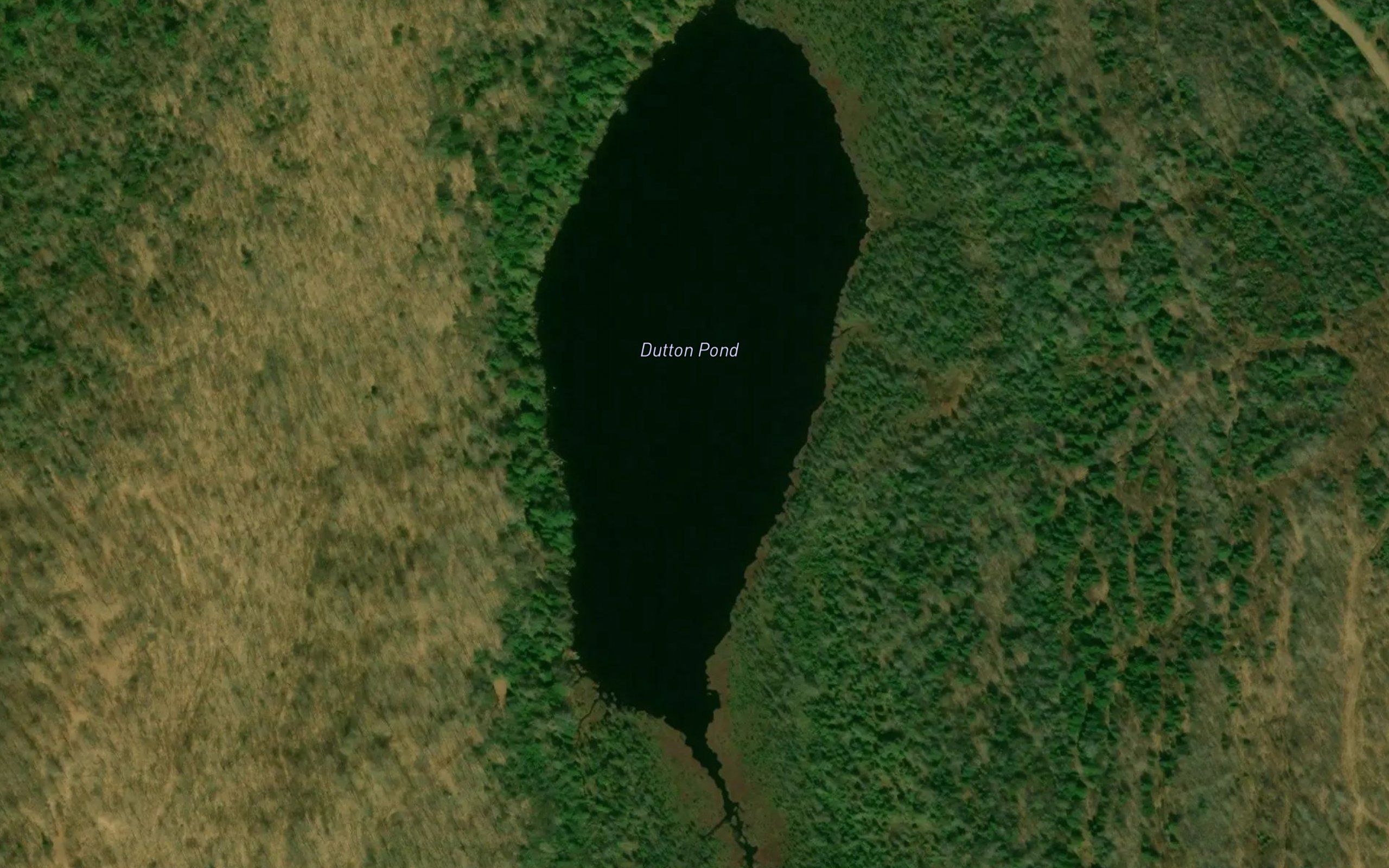 Dutton Pond