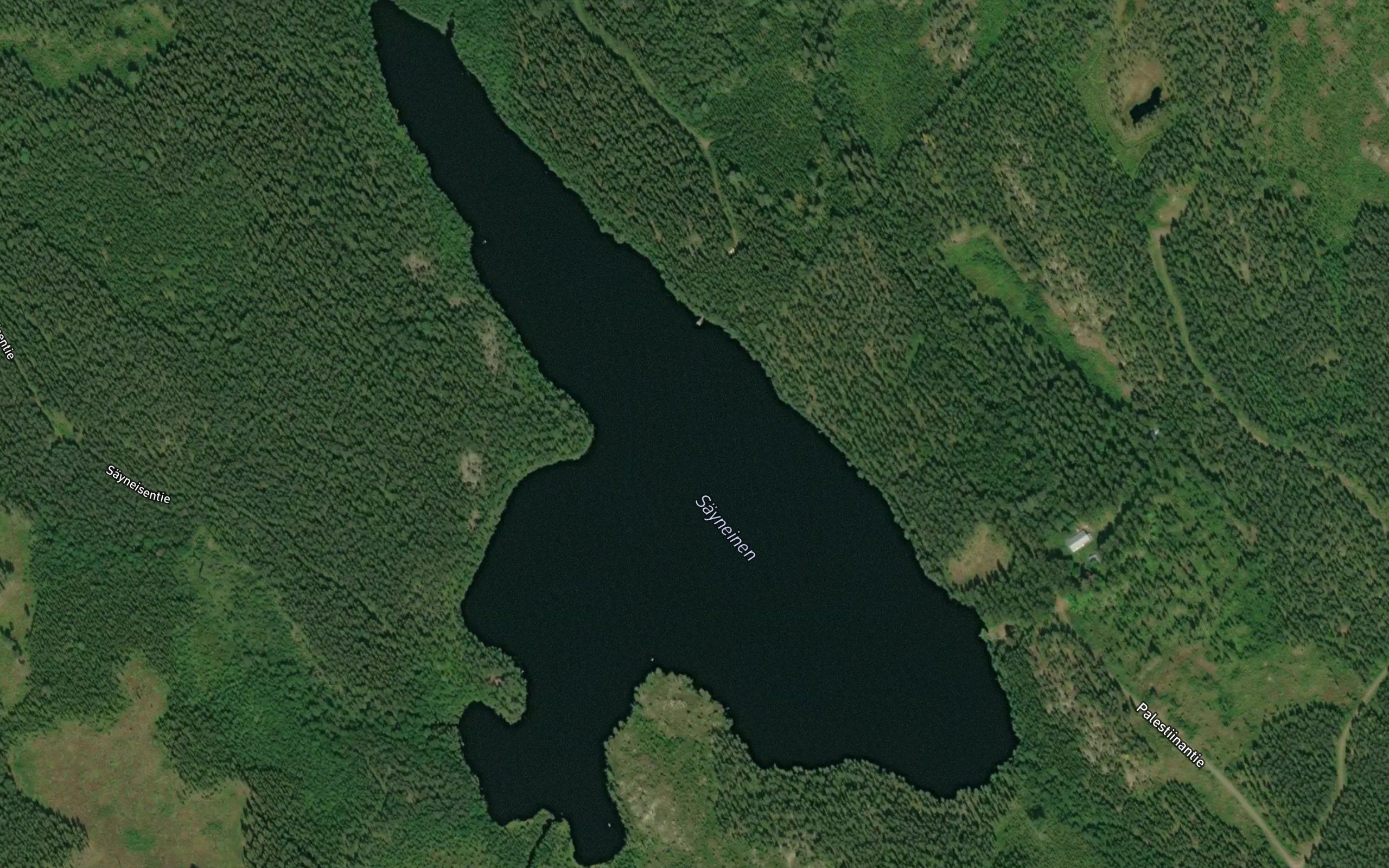 Sayneinen