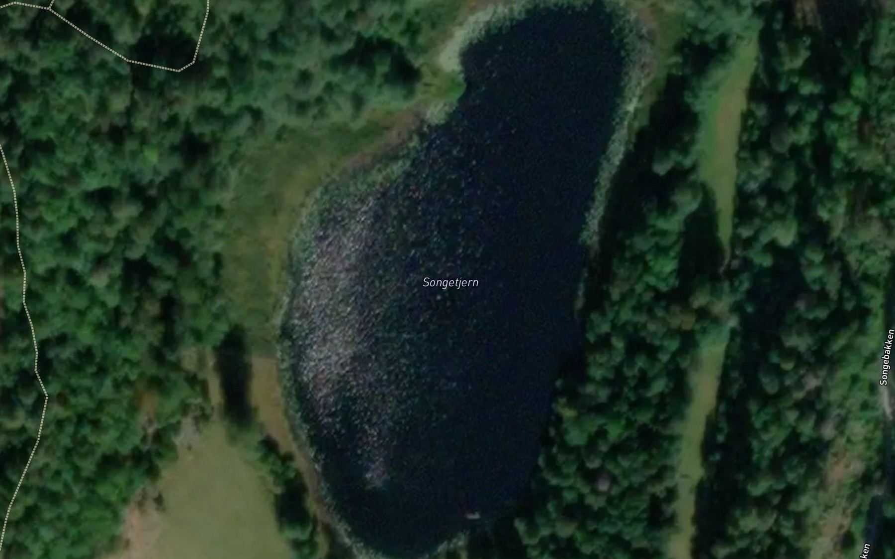 Satellite map of the Songetjenn