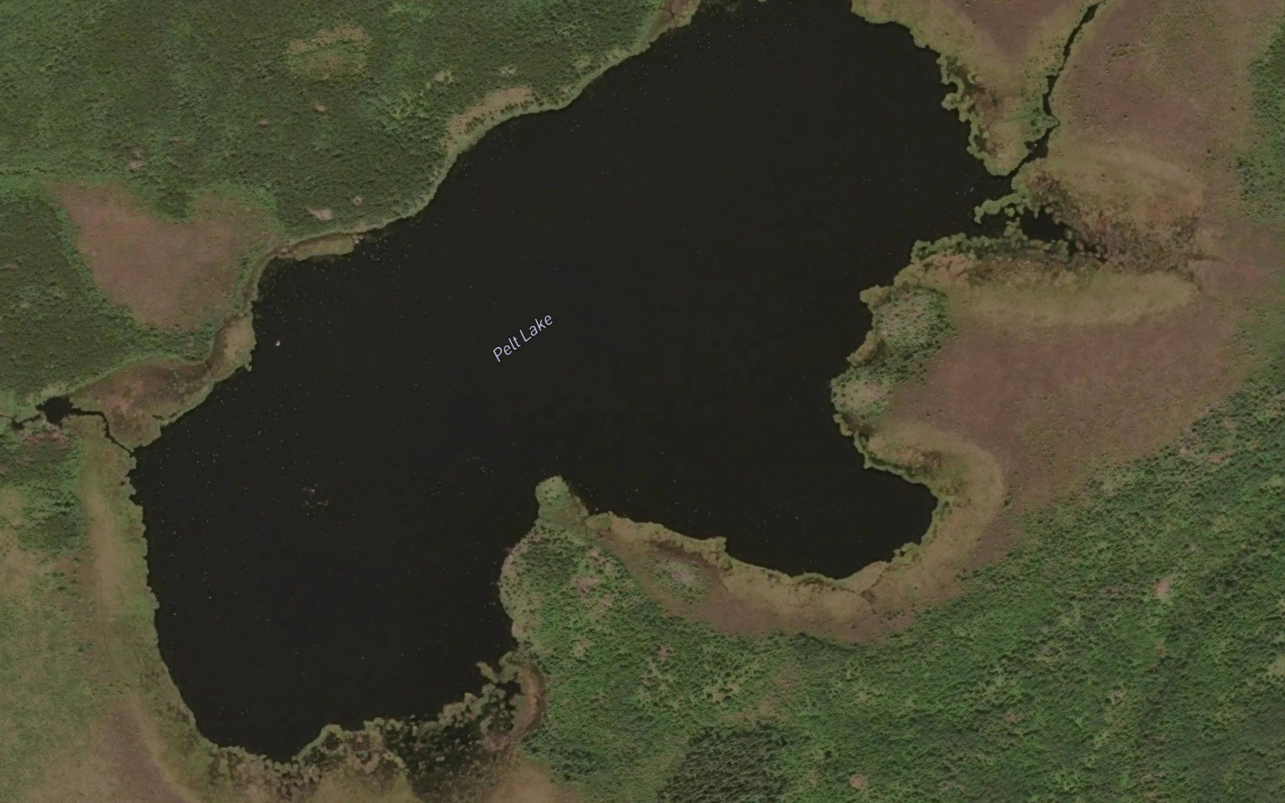 Pelt Lake